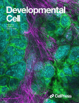 Developmental Cell